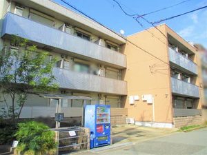 ＳＯＬ．ＬＥＶＡＮＴＥ，Ⅹ