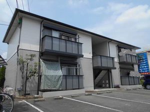 セントポーリアＡ．Ｂ A202号-1