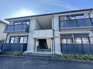 Ｌａｎｅｉｉ　Ｓｈｉｎｙａｓｉｋｉ