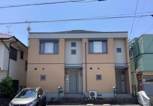 パルモメゾネット