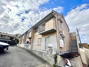 タウニィ　アマワカ