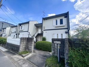 タウニィアローザ