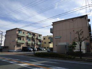 メゾン・ド・エムズ 2101号-1