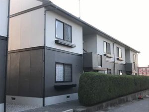 かんどり　ニューハイツ 0110号-1