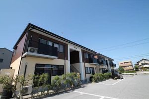 フォーレス　柏 0203号-1