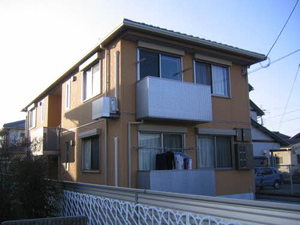 ディアス　サンフラワー