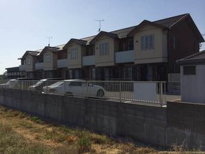 コゥジィコ－ト 0205号-1