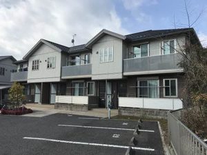 シャーメゾン　ピアンタ 0107号-1