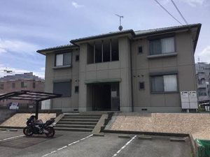 グラスグリーンⅡ