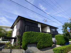 ディアス白国 0102号-1