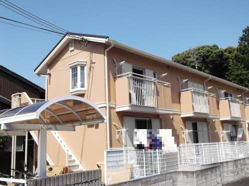 タウニィサンハニー