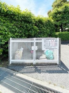 パロアルト A202号-12