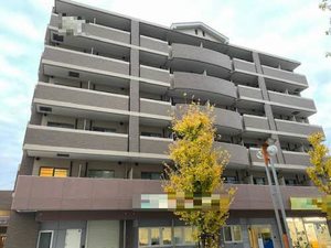 ａ　ｌａ　ｍｏｄｅ　Ｈｉｎｅｎｏ＊