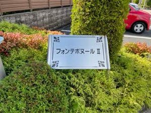 フォンテボヌールⅡ 0105号-4