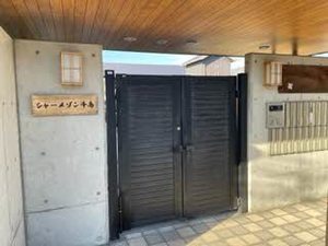 シャーメゾン千鳥 0107号-3