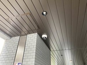 ロイヤル・アネックス 0801号-13