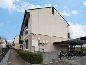 Lapis 0207号-15