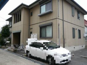 ウッディＹ（ワイ） 0102号-13