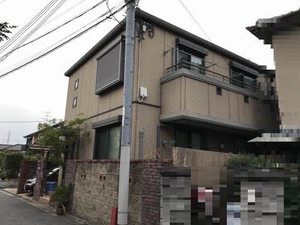 Candy Court 0101号-12