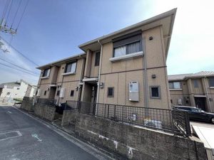 アコール　ドウ 0106号-15