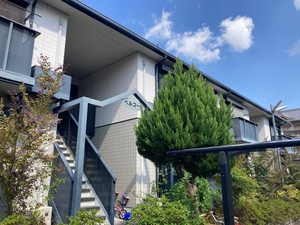 ベルコート 0102号-1