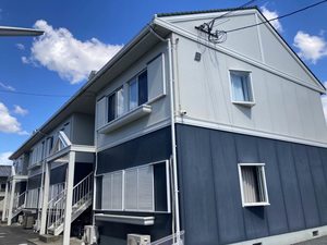 バンブーパインハイツ