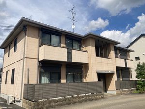 フェリシティ－Ｂ・Ｄ