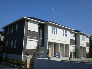 グレイスコート