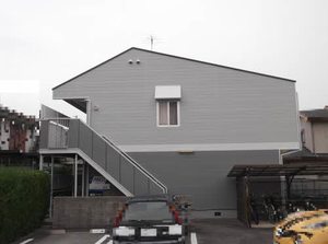 南井ハイツ 0101号-1