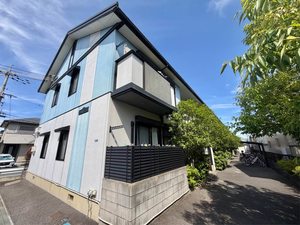 トリアス 0204号-15