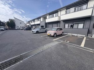 エンコウジ　Ａ 0102号-13