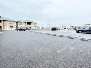 グリーン・スプリング B101号-14