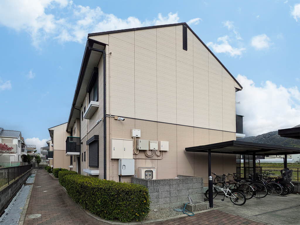 Lapis 0207号-15