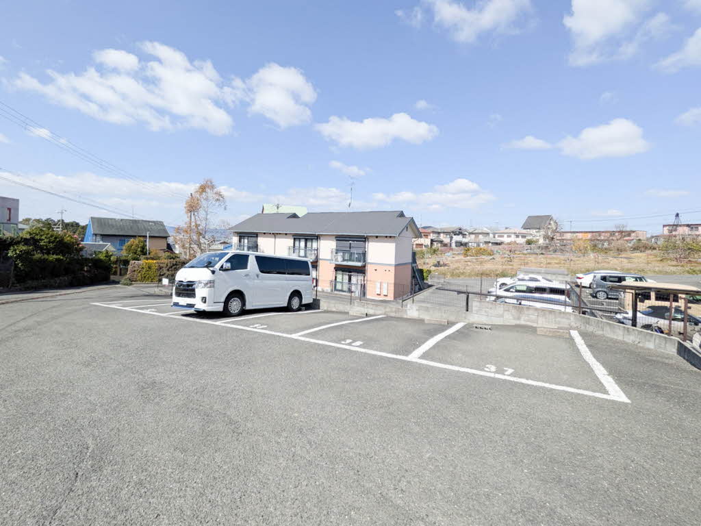 タモサーチＣ 0201号-13