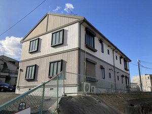 メゾン・モンハイム東． 0101号-2