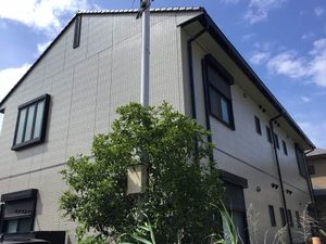 ツゥーエス新金 0102号-14