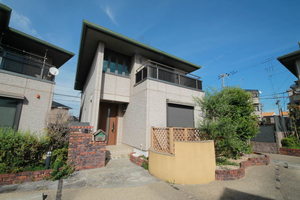 ＤＡＩＫＥＮＮ　ＨＩＬＬＳ-1