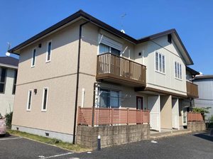 サンクレスト　カキミ 0203号-1