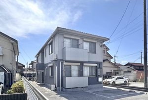 ディアス サンフラワー 0201号-2