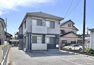 ディアス サンフラワー 0201号-3