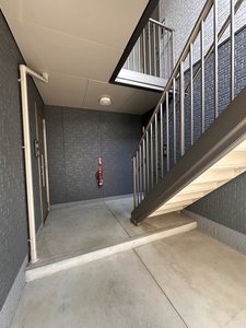 ディアス サンフラワー 0201号-5