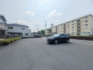 ドリーム バスケット 0202号-15