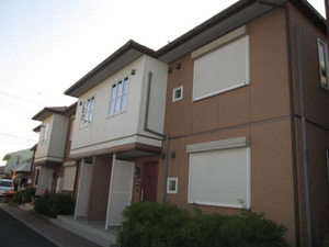 フローラル・アイ 0102号-14