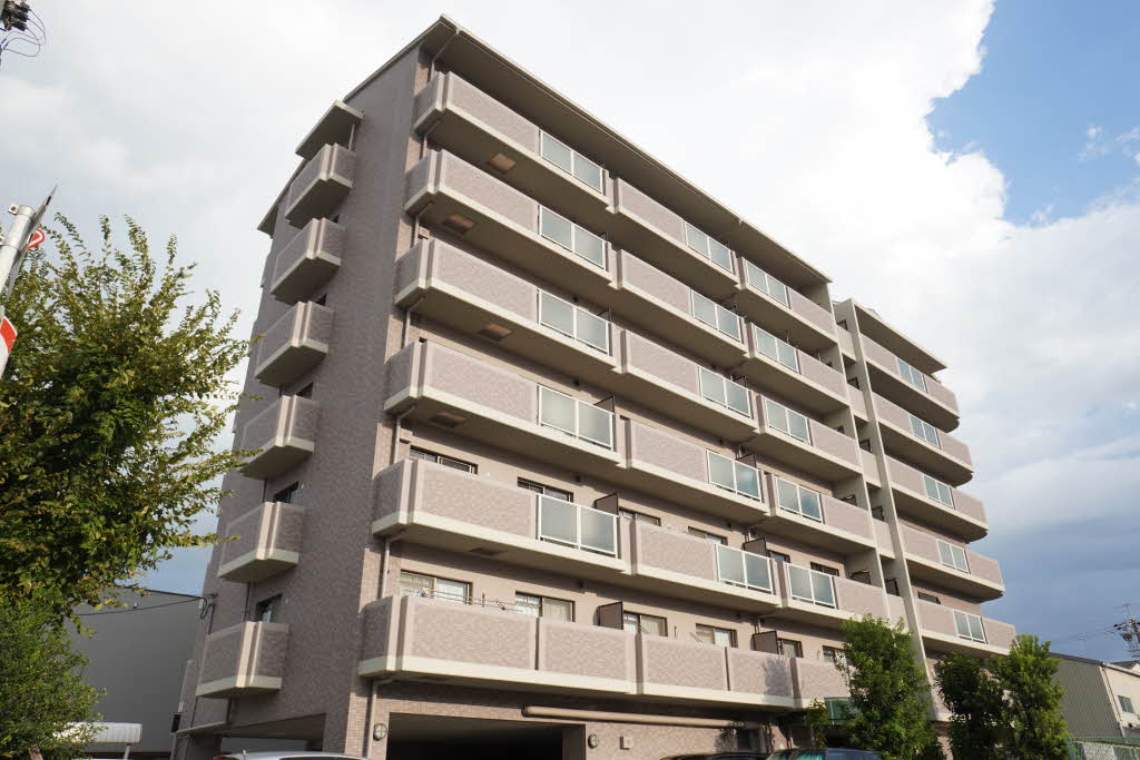 メディオグリシーナＦ 0406号-15