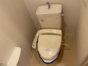 シャーメゾン希 0201号-11