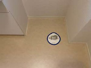 シャーメゾン希 0201号-12