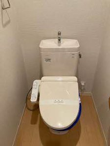 ディアスＤ 0102号-7