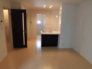 シャーメゾンコートK 0202号-9