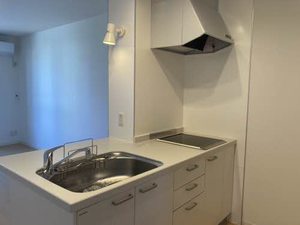 シャーメゾンコートＫ 0110号-3