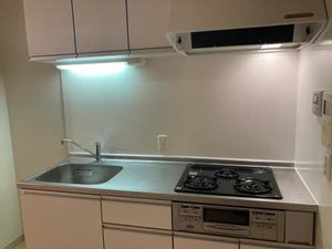 グリーン・クラウド難波元町 0302号-8